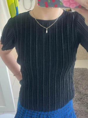 Glittrig svart plisserad topp - Säljer en svart glittrig topp med plisserad struktur och korta ärmar. Toppen har rund halsringning och är tillverkad i ett syntetmaterial som ger en skimrande effekt. Passformen är loose och tyget är lätt och luftigt, perfekt för att sticka ut lite extra.