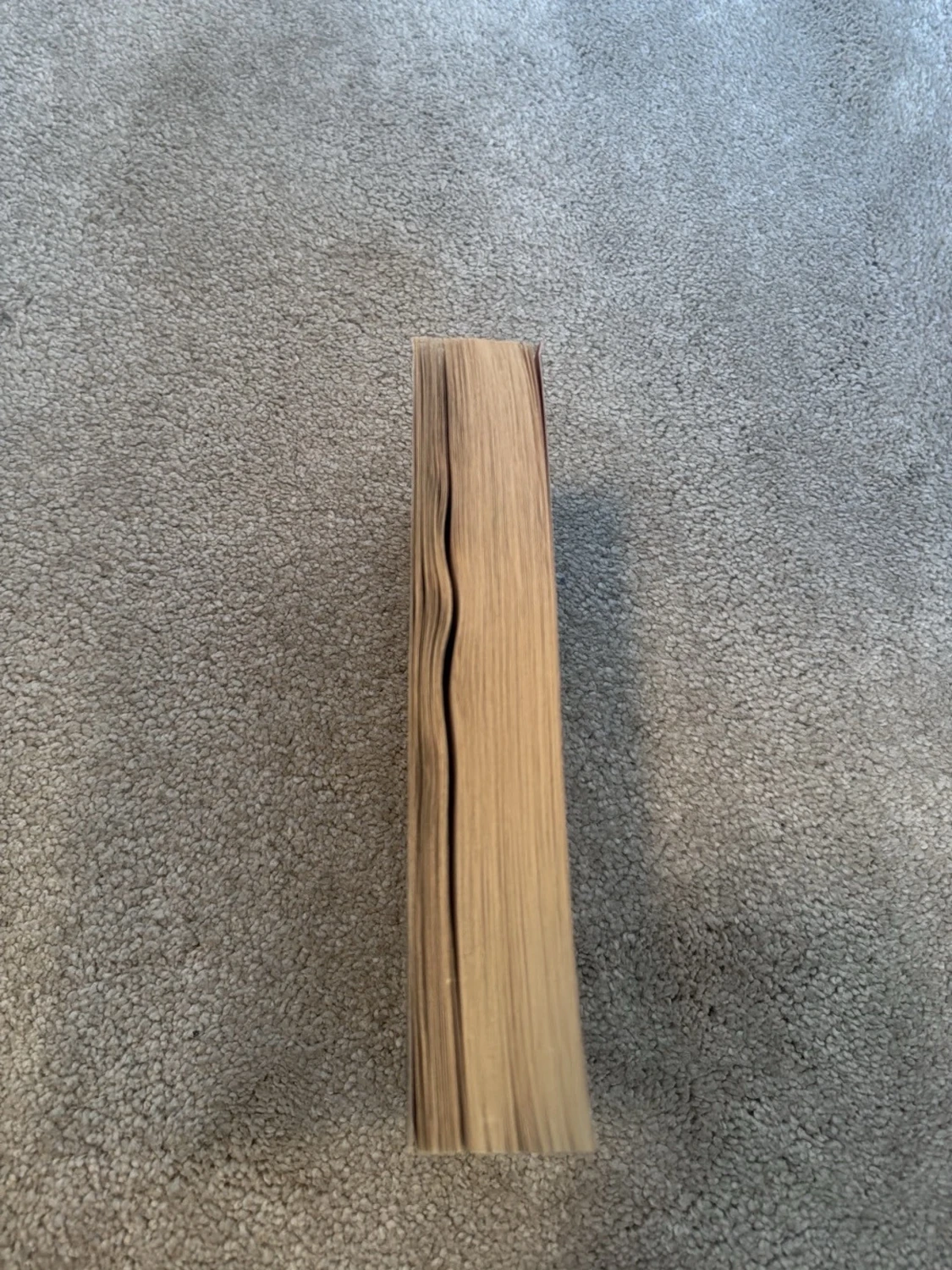 Verity - Colleen Hoover - 3