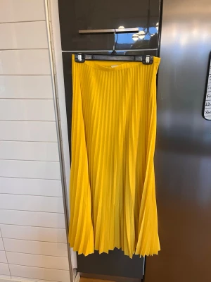 Gul plisserad långkjol från & Other Stories - Säljer en superfin gul plisserad långkjol från & Other Stories Stockholm Atelier. Kjolen har en snygg midja och är gjord i ett glansigt, mjukt polyestermaterial! Priset går att förhandlas 💞
