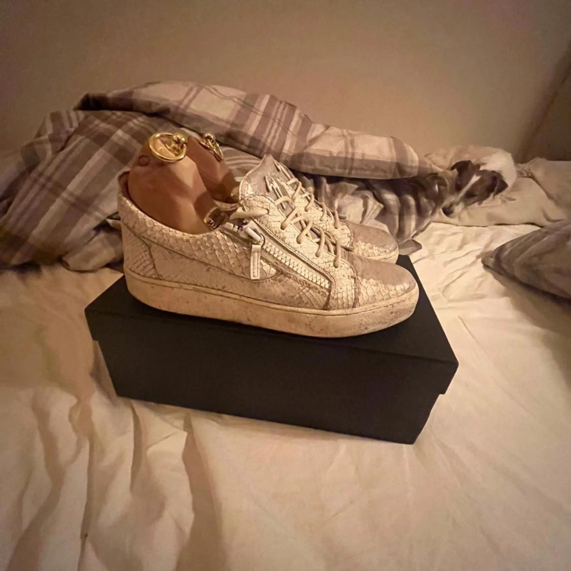 Giuseppe Zanotti beige sneakers i skinn - 2