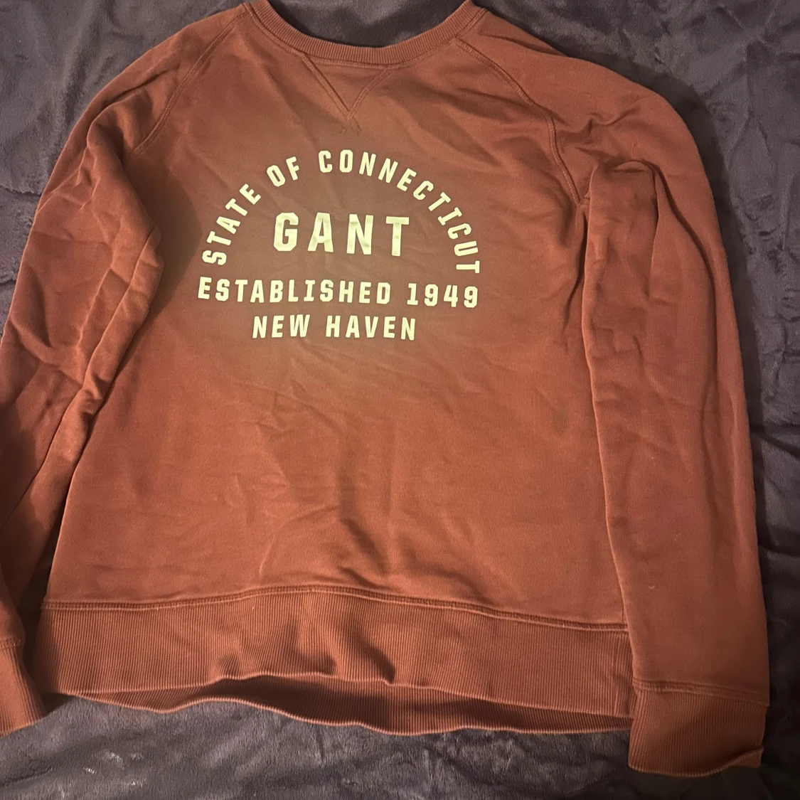 Brun sweatshirt från GANT med tryck