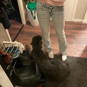 Cheapmonday jeans - Helt nya bara använda 1-2 gånger, säljer pga att det är för korta för mig.