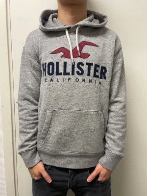 Hollister hoodie - Fet grå hoodie från Hollister. Väldigt bra skick. Modellen är 173cm, 64kg. Pris kan diskuteras!