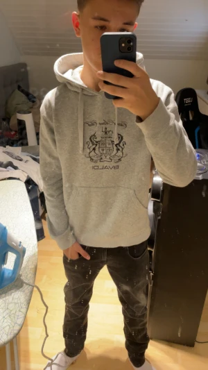 Grå hoodie från Bvaldi med tryck - Säljer en grå hoodie från Bvaldi med svart tryck framtill och coolt vapensköldsmotiv. Tröjan har huva med snörning och en stor magficka. Perfekt för dig som gillar en enkel men snygg streetstil.