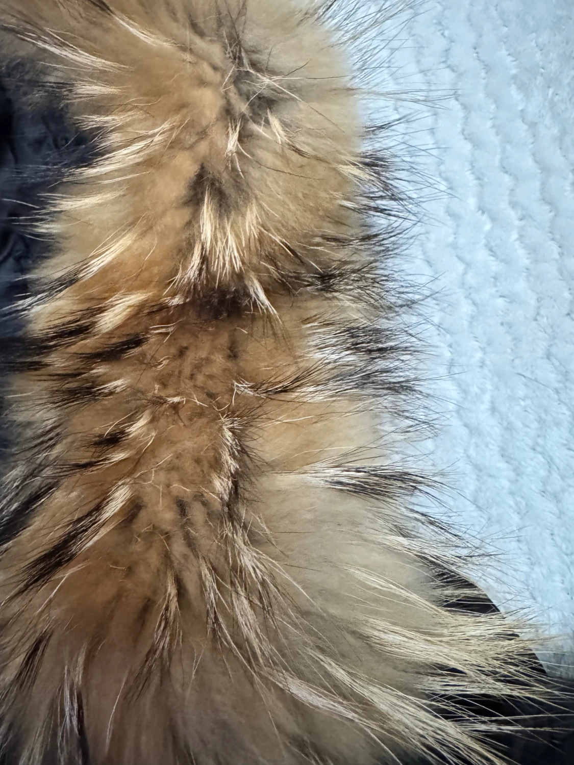 Svart lång dunjacka Rockandblue - 5