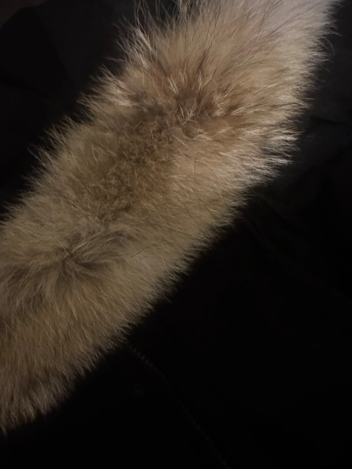 Svart dunjacka från Canada Goose - 4