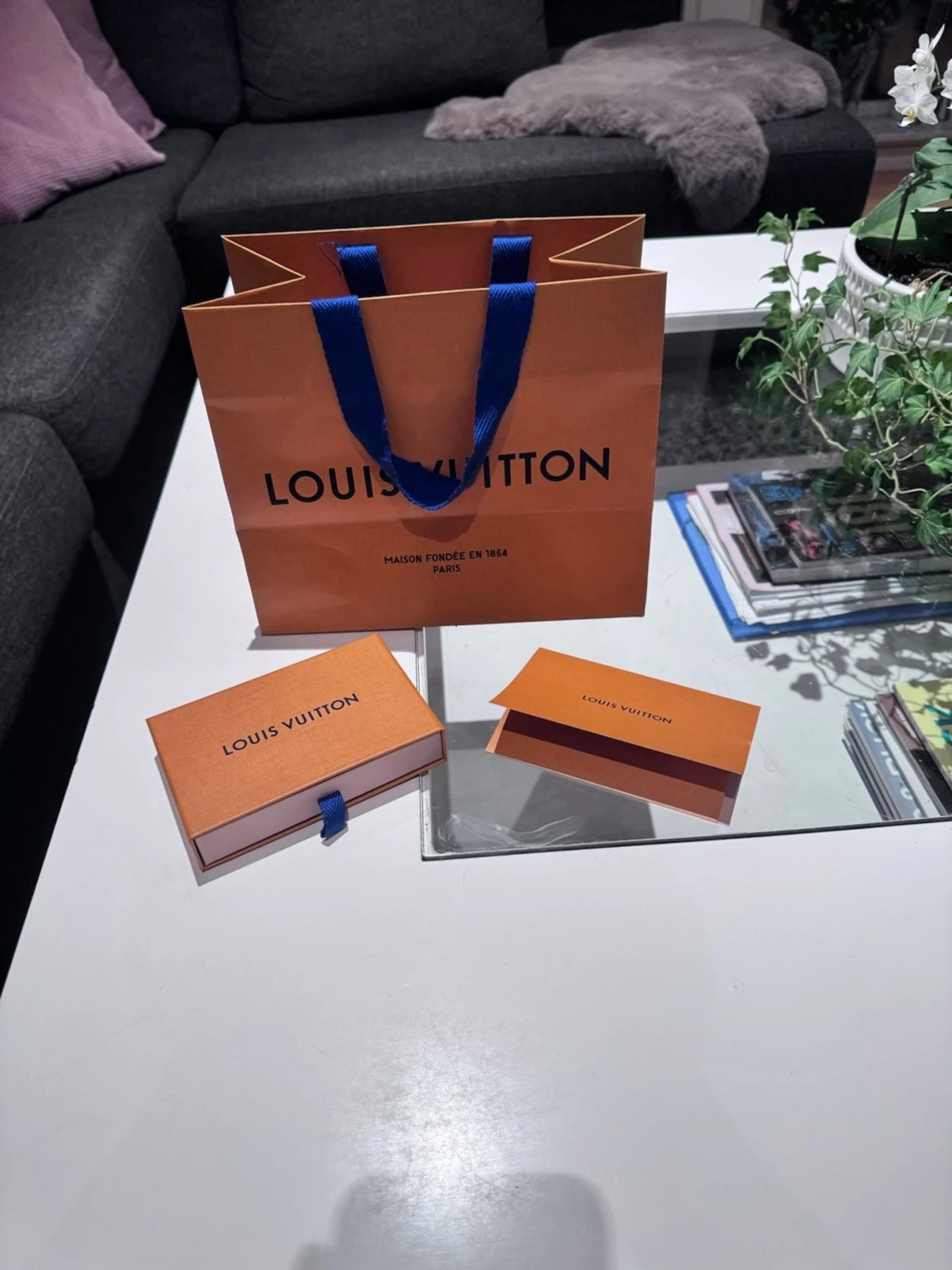 Blå Louis Vuitton plånbok med tryck