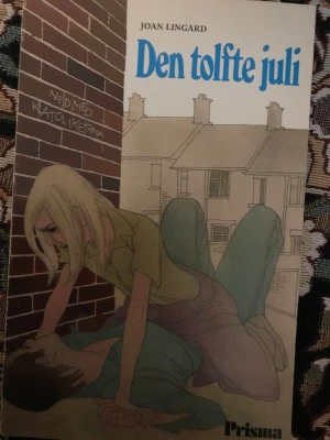 Den tolfte juli - En spännande och känslosam berättelse om motsättningar och spirande kärlek i Belfasts arbetarkvarter. Sadie och Kevin dras till varandra trots att de är dödsfiender, och deras världar kolliderar med dramatik och intensitet. Perfekt för dig som gillar starka känslor och samhällsskildringar.