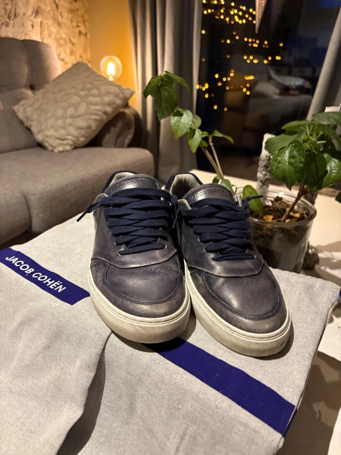 Jacob choën skor - 1