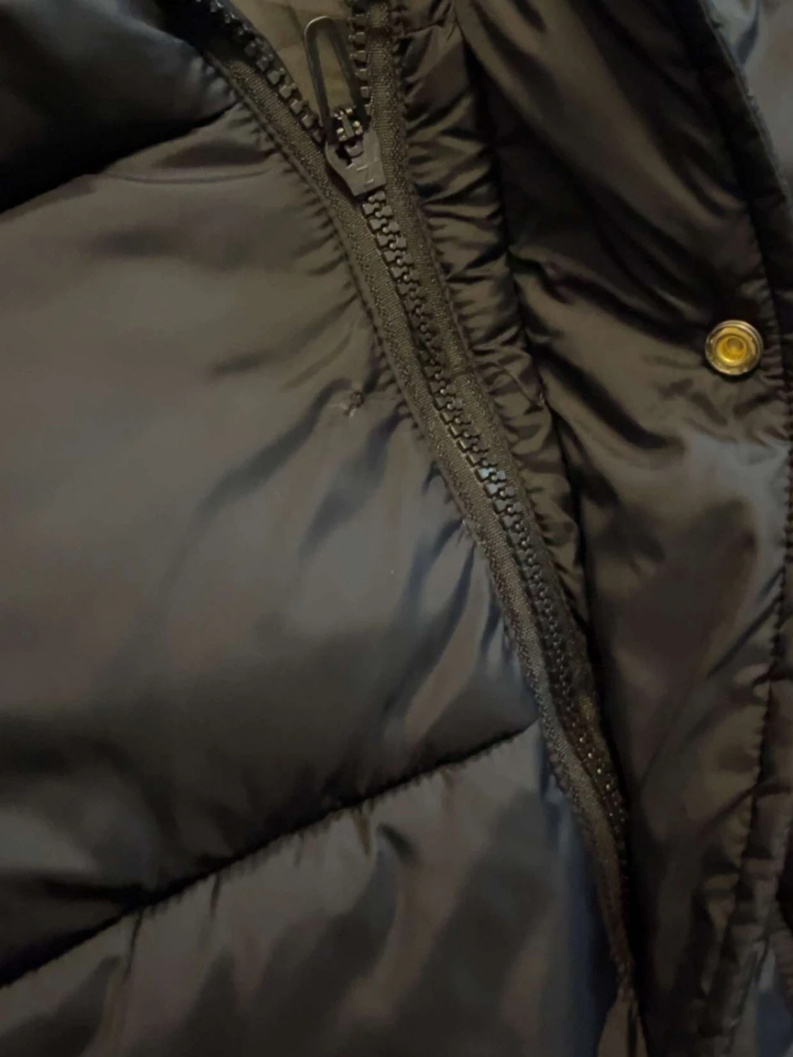 Burberry puffer - 5
