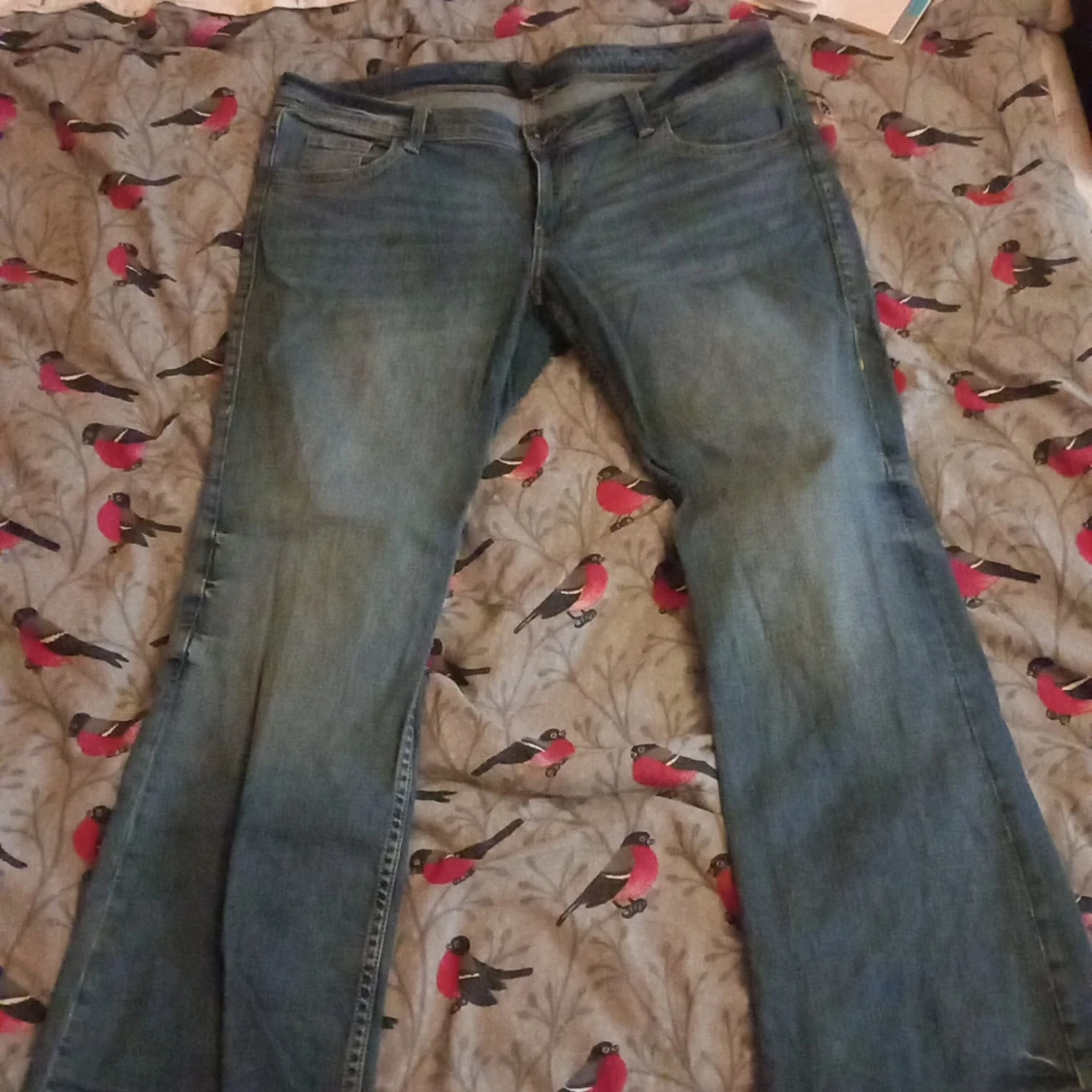Blå bootcut jeans från H&M Divided