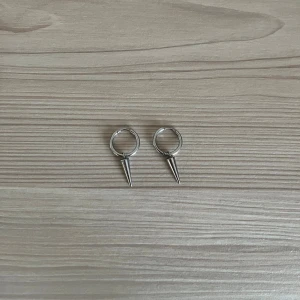 Örhängen - Örhänge från Edblad ny pris 400