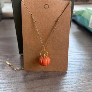 Halsband med pumpa-hänge i guld - Unikt halsband med en tunn guldfärgad kedja och ett hänge format som en orange pumpa. Hänget har fina detaljer och en rund guldfärgad ögla upptill. Perfekt accessoar för dig som vill sticka ut med en lekfull och höstig vibe.