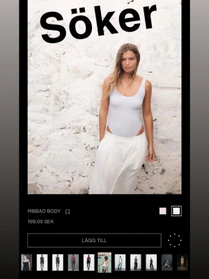Ljusgrå ribbad body från Zara  - SÖKER!!! Någon som säljer eller hade kunnat tänka sig sälja i storlek S, hör av er isåfall🥰