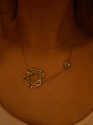 Halsband silver ioaku - Halsband i silverfärg, rostfritt, köpt för 599.