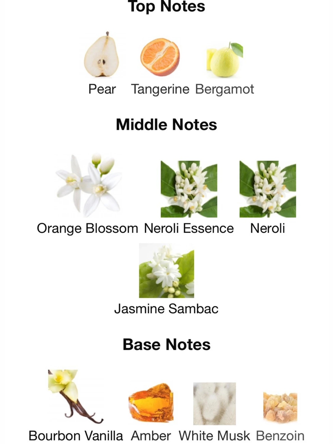 Prada Paradoxe EdP 30 ml - 3