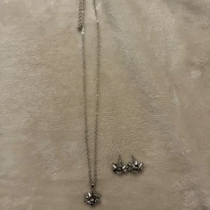 Smyckessett - Matchande halsband och örhängen. Helt oanvända!