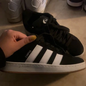 Adidas campus - Fräscha adidas campus