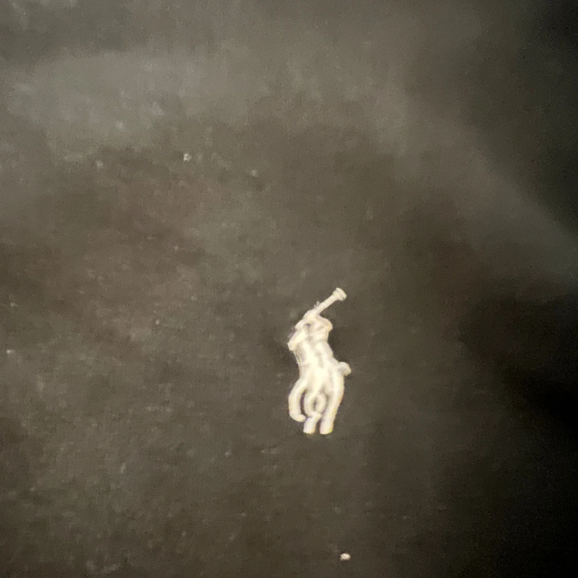 Svart hoodie från Polo Ralph Lauren - 3