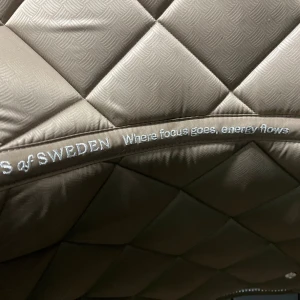 Schabrak  - Ett schabrak som är beiget,med silvriga detaljer 