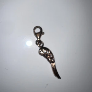 Thomas sabo rosé vinge och stenar - Snyggt hänge i form av en vinge i rosé färg med glittrande stenar på ena sidan. Perfekt att fästa på ett halsband eller armband för en cool och personlig touch. Vingen har fina detaljer och en smidig karbinhake för enkel användning.