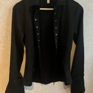 Satin skjorta - Supersnygg figursydd skjorta med utsvängda långa ärmar. Endast använd 1-2 gånger så därför nyskick:)