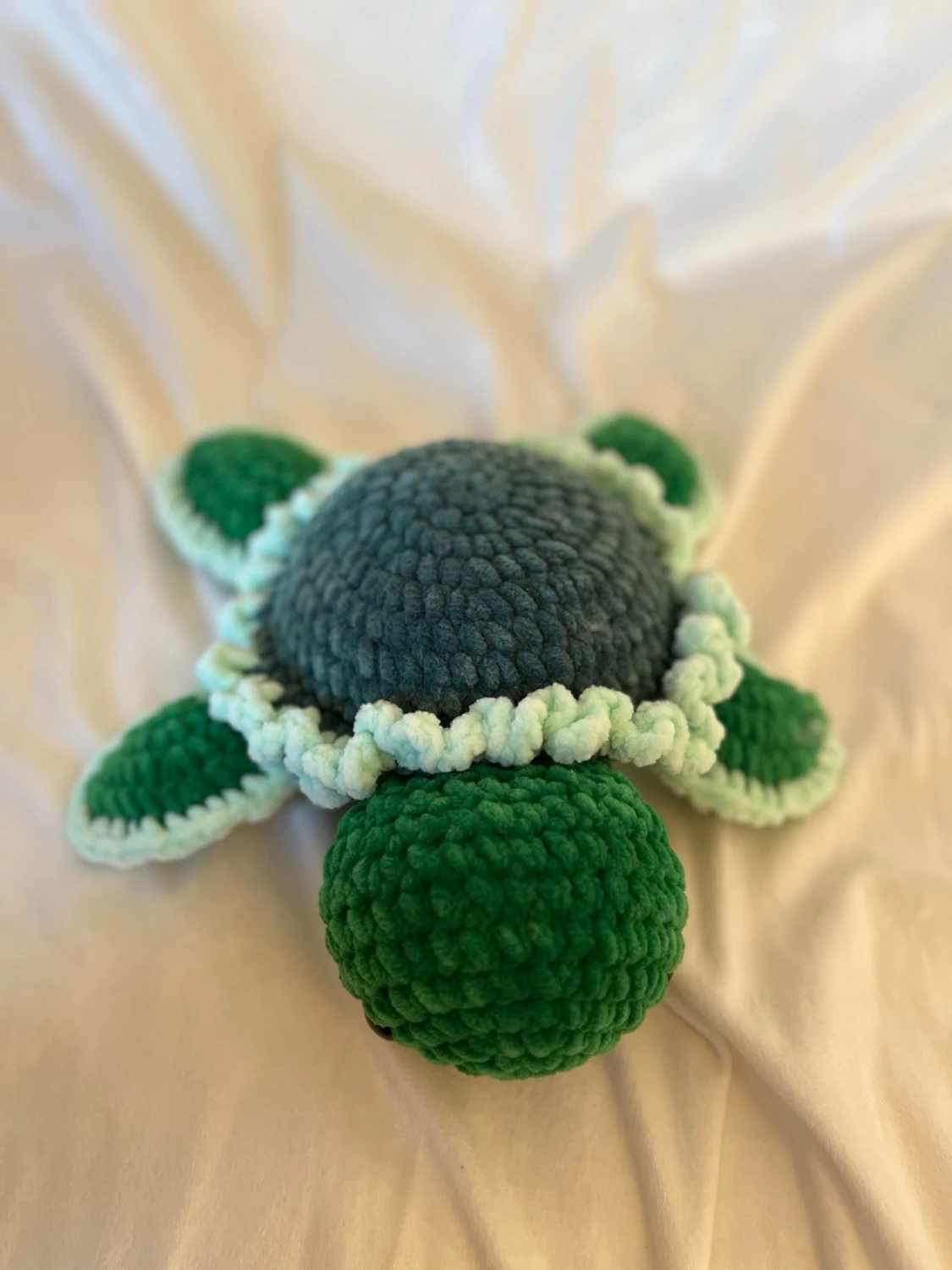 Stor grön sköldpadda  - 1