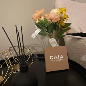 CAIA Face Palette Sassy - Snygg face palette från CAIA i färgen Sassy. Paletten innehåller fyra puder: en matt contour i beige, en peachy bronzer, en rosa blush och en skimrig highlighter i champagne. Perfekt för att skapa en fräsch och glowig look. Kommer i stilren beige förpackning med spegel. Helt ny!!! 