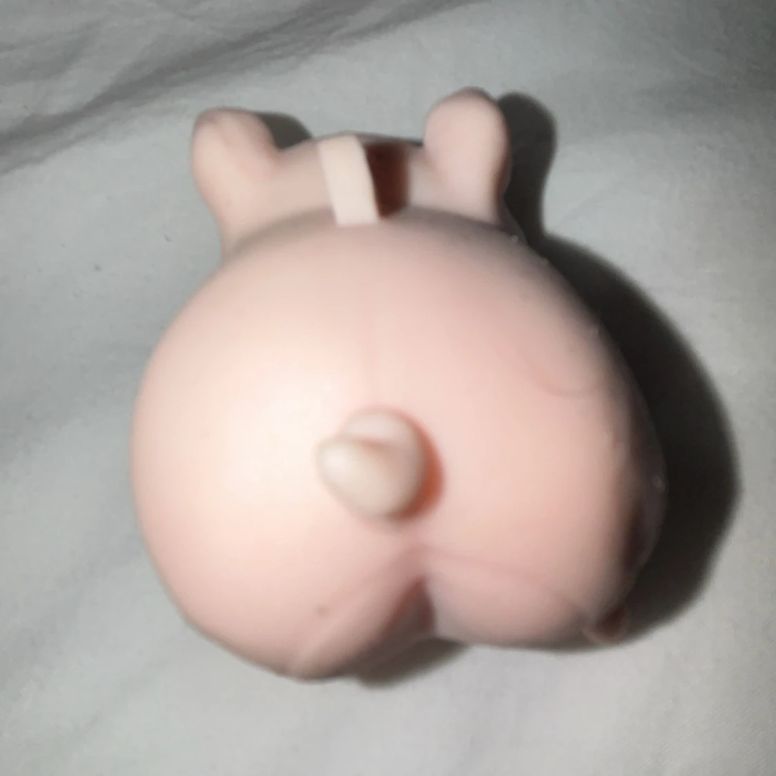 Skön gris med gump. - 1