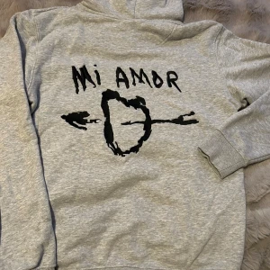 Mira Paris Hoodie storlek S - Mira Paris Hoodie luvtröja Gott använt skick Storlek S   