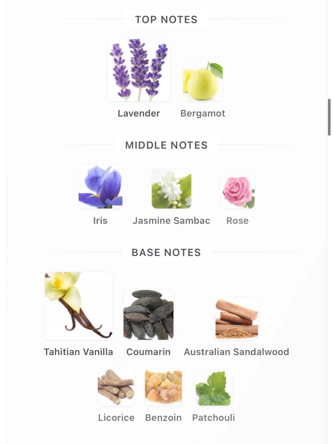 Mon Guerlain Eau de Parfum 30 ml - 4