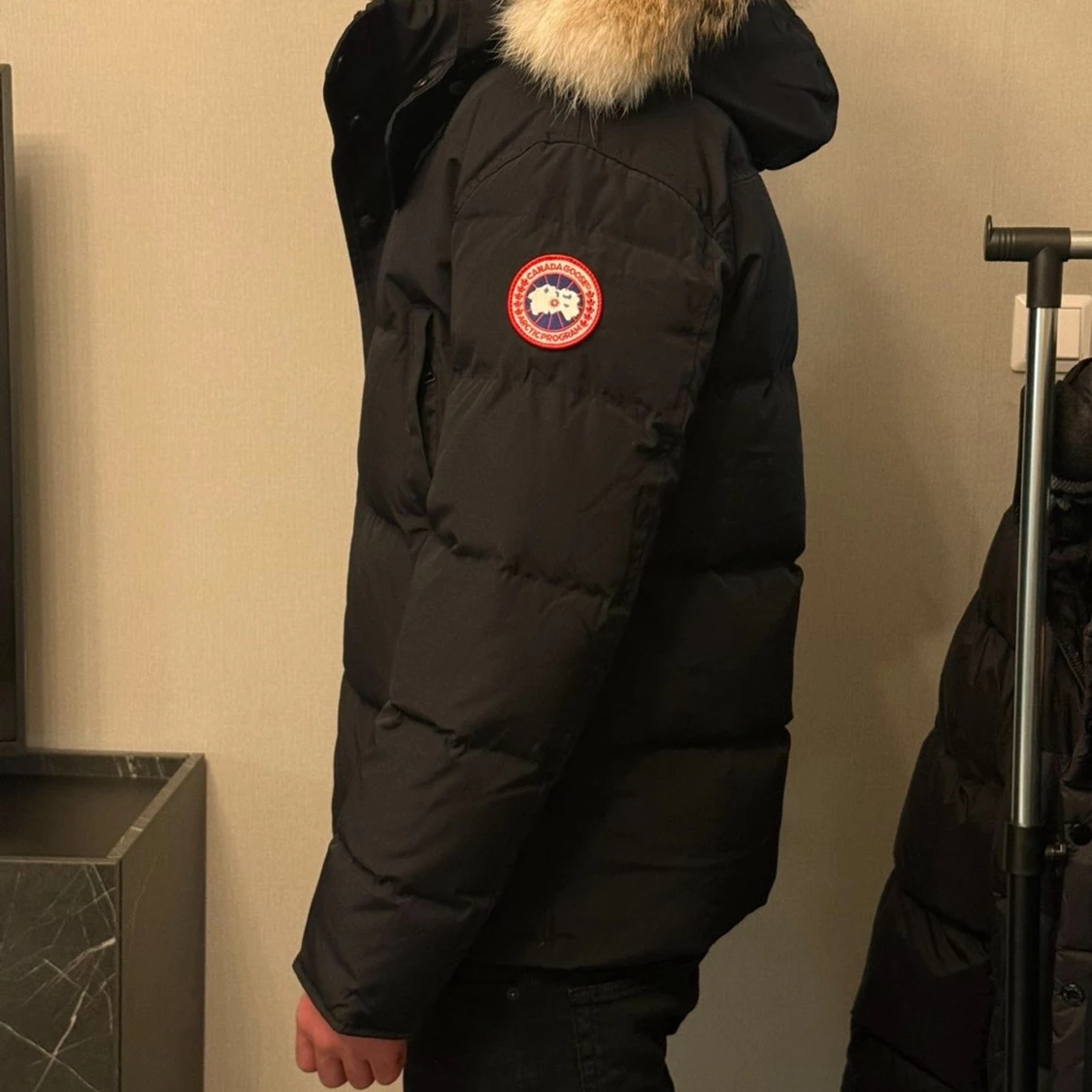 Svart Canada Goose  - 1