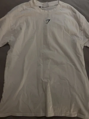 Gym shark t-shirts - Gym shark T-shirt i strl. S. I mycket fint skick, T-shirten är nytvättad och invikt därför den är skrynklig.
