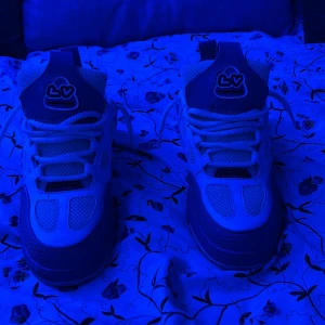 Louis Vuitton skates LV Trainer sneakers - Säljer ett par Louis Vuitton LV Trainer sneakers med ikoniska LV-detaljer och blommor på sidorna. Skorna är vita med inslag av grått och har meshpaneler, skinn och snörning. Snygg chunky sula med Vuitton-logga undertill. Perfekta för dig som vill sticka ut med lyxig streetstyle. Använda ett par gånger, syns lite under skon men på utsidan ser dom helt nya ut!