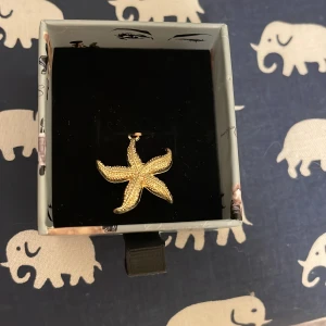 Sheashell örhänge - Snyggt guld örhänge med en cool snäcka på!