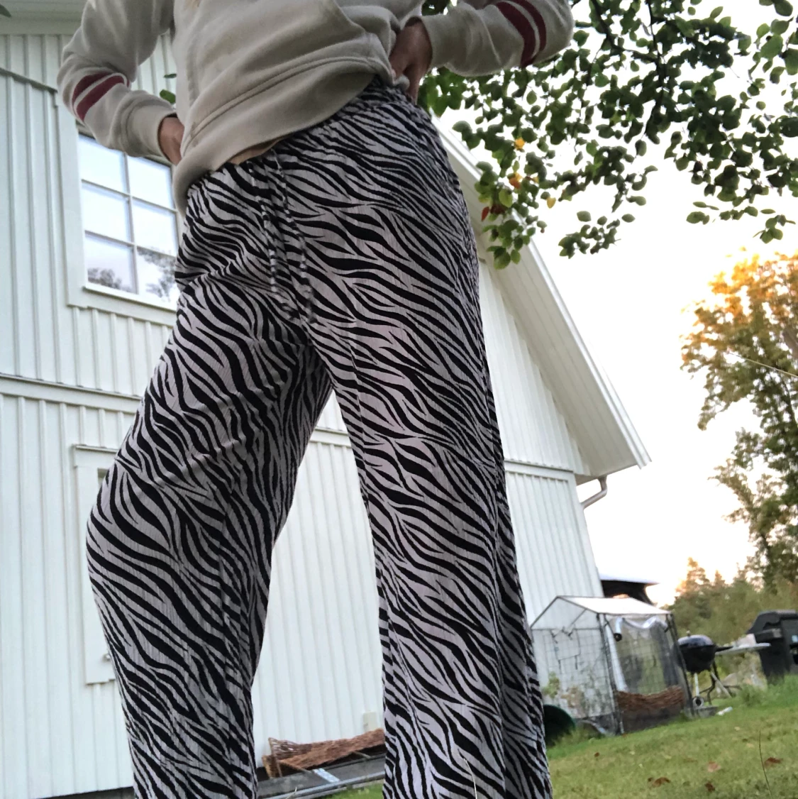 Ett par zebra byxor🦓👖 - 90
