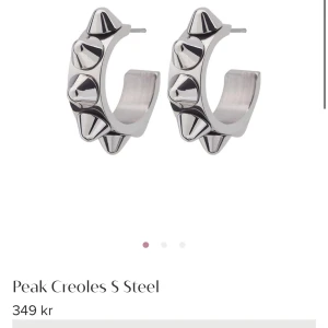 Edblad örhängen - Endast testade, säljer då jag bytt till guldsmycken!! Nypris 349 