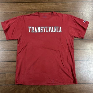 Champion Transylvania Tshirt - Snygg vintage T-shirt i storlek L! Bara att skriva om du undrar över något🙏