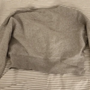 Hodie - Har inte kommit till användning