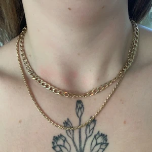 Halsband  - Halsband med dubbel kedja. Sitter ihop som ett :)  Fr H&M : dvs , bör ej duscha/badas med halsband på! 