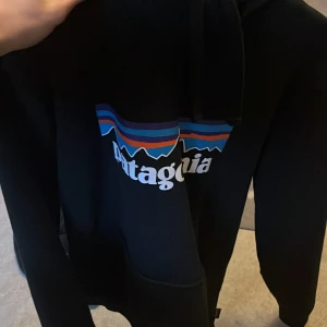 Patagonia hoodie - Köpt på nitty gritty för 999 kr