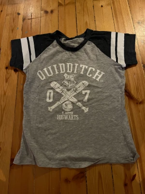Grå Harry Potter tröja - Grå Harry bitter tröja från primark. Bra skick. Djur i hemmet.