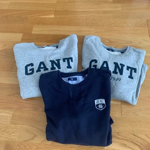 Gant sweatshirt 3pack - Säljer 3 st gant sweatshirt 3 pack för en bra peng. Alla är i storlek 170cm. Hör av er om ni har fler frågor.