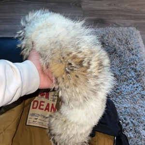 Dsquared jacka - Väldigt sällsynt äkta dsquared jacka. Med otroligt stor päls, ny pris ca 19 tusen Kan gå ner i snabb affär.