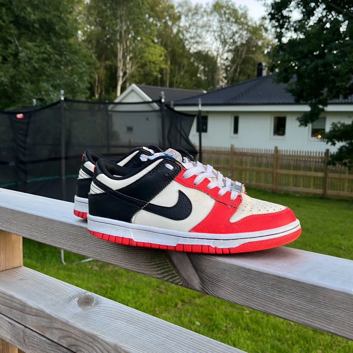 Nike dunk low röd svart