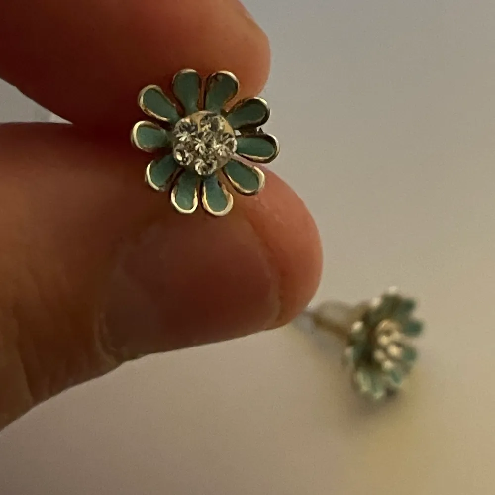 Fina blommörhöngen som är turkosa frakten är 15 kan bara inte välja det där nere!!!. Accessoarer.