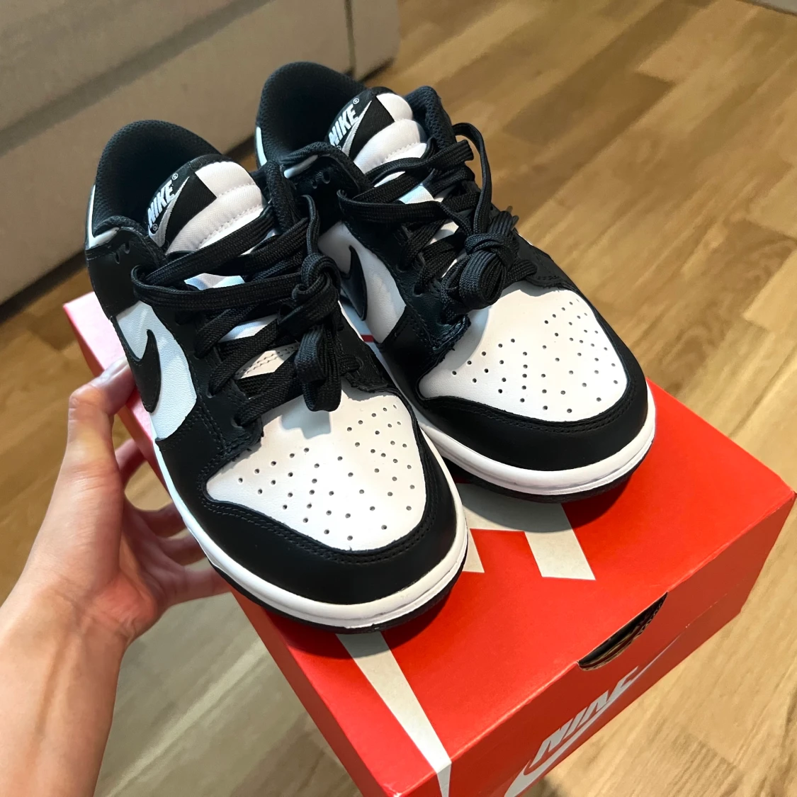 Nike low dunks (W) 