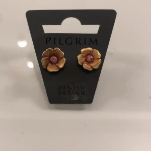 Pilgrim örhängen  - Jättefina örhängen från pilgrim. Oanvända☺️❣️(ny pris ca 300)