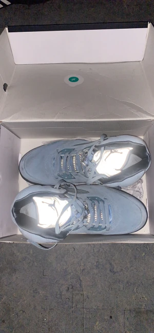 Air Jordan 5 - Skorna finns i Göteborg  