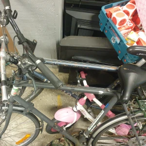 Bicycle  - Sports bicycle